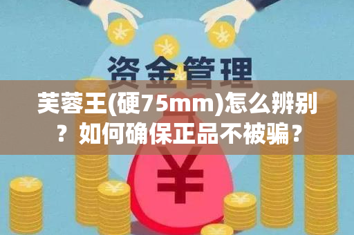 芙蓉王(硬75mm)怎么辨别？如何确保正品不被骗？